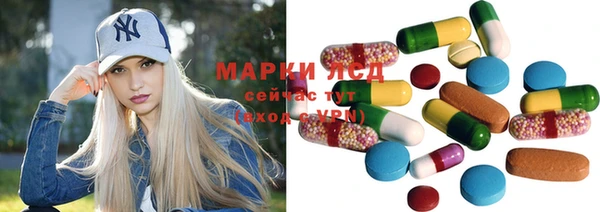 стаф Пестово