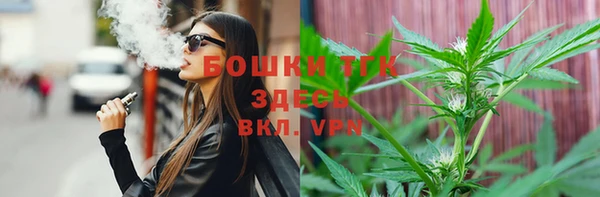 стаф Пестово