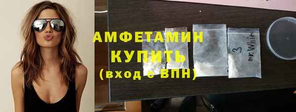 прущие грибы Абаза