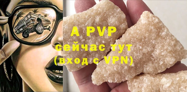 прущие грибы Абаза