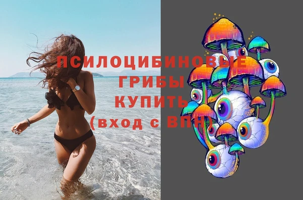прущие грибы Абаза