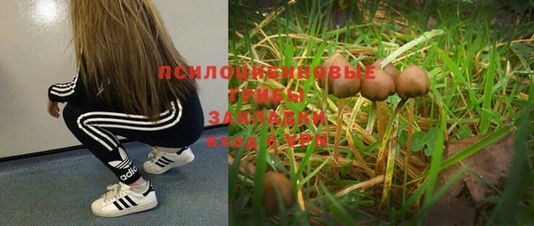 таблы Абинск