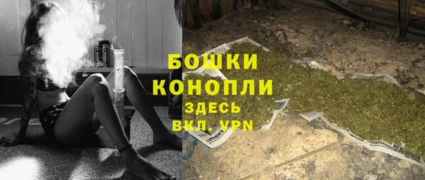 прущие грибы Абаза