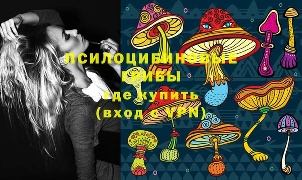 прущие грибы Абаза