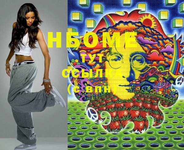 прущие грибы Абаза
