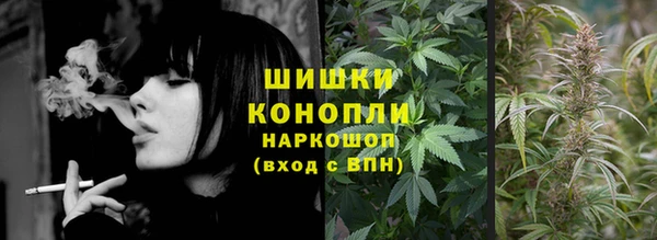 прущие грибы Абаза