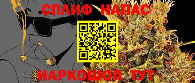 apvp Севастополь