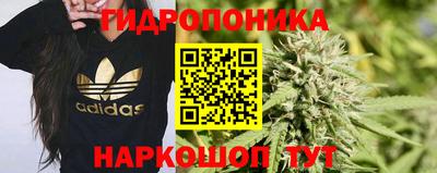 гашиш Свободный
