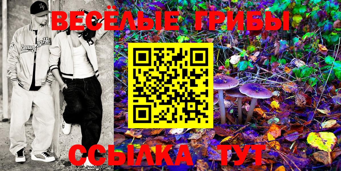 Псилоцибиновые грибы MAGIC MUSHROOMS Татарск