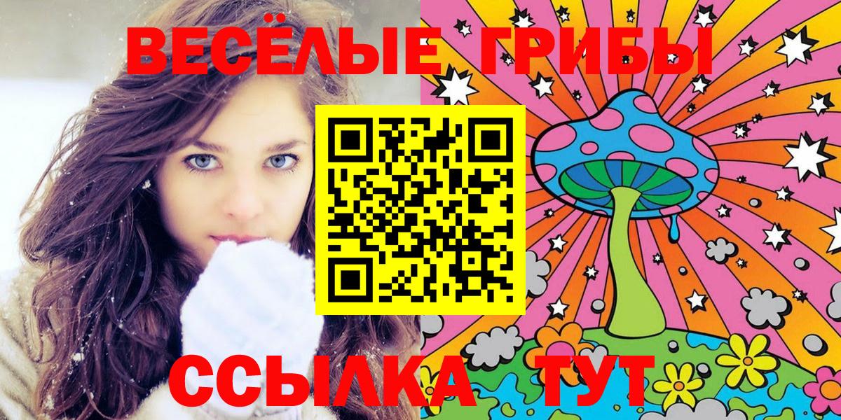 Псилоцибиновые грибы GOLDEN TEACHER  Галлюциногенные грибы MAGIC MUSHROOMS  Вход с VPN  Татарск 