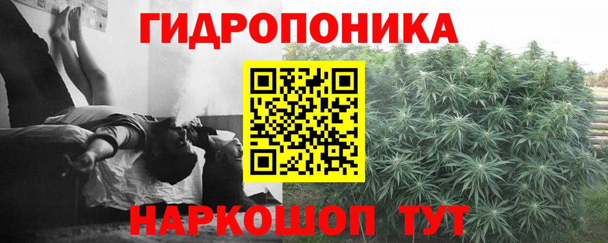 Татарск  Каннабис семена  Шишки марихуана семена  Бошки Шишки ГИДРОПОН  Вход с VPN 
